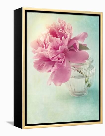 Peony Flower in a Vase-egal-Framed Premier Image Canvas