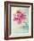 Peony Flower in a Vase-egal-Framed Photographic Print