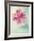 Peony Flower in a Vase-egal-Framed Photographic Print