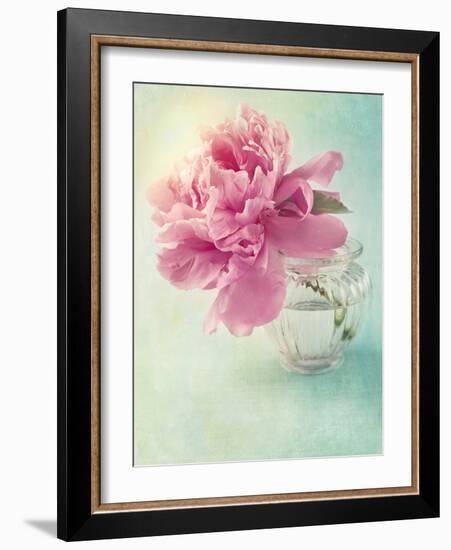 Peony Flower in a Vase-egal-Framed Photographic Print