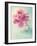 Peony Flower in a Vase-egal-Framed Photographic Print