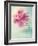 Peony Flower in a Vase-egal-Framed Photographic Print