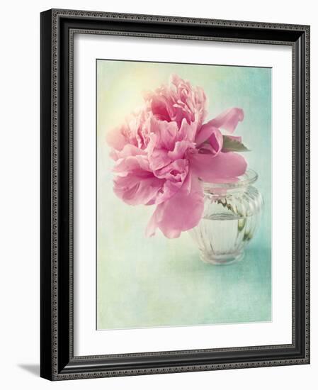 Peony Flower in a Vase-egal-Framed Photographic Print