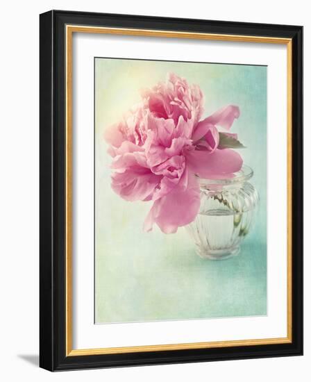 Peony Flower in a Vase-egal-Framed Photographic Print