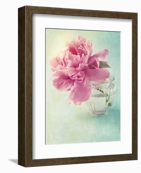 Peony Flower in a Vase-egal-Framed Photographic Print