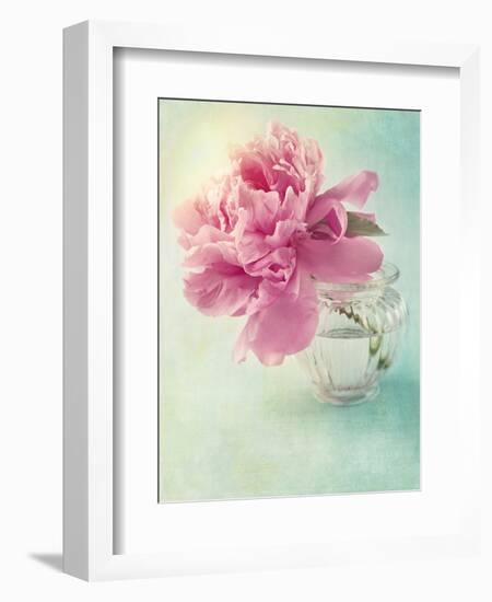 Peony Flower in a Vase-egal-Framed Photographic Print