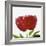 Peony Flower (Paeonia Sp.)-Cristina-Framed Premium Photographic Print