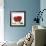 Peony Flower (Paeonia Sp.)-Cristina-Framed Premium Photographic Print displayed on a wall