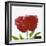 Peony Flower (Paeonia Sp.)-Cristina-Framed Premium Photographic Print
