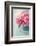 Peony Flowers in a Vase-egal-Framed Photographic Print