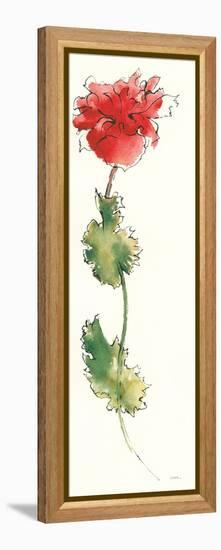 Peony Form Poppies I-Shirley Novak-Framed Stretched Canvas