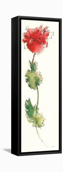 Peony Form Poppies I-Shirley Novak-Framed Stretched Canvas