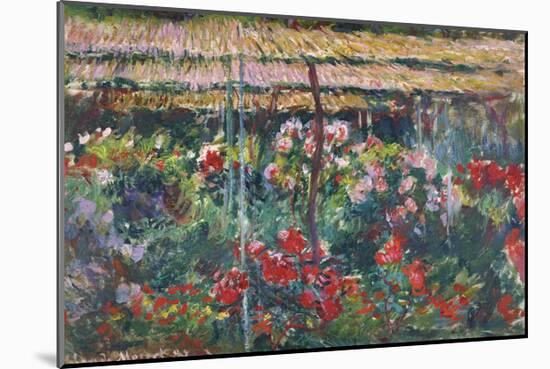 Peony Garden, 1887-Claude Monet-Mounted Premium Giclee Print