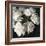 Peony Glow-Tania Bello-Framed Giclee Print