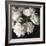 Peony Glow-Tania Bello-Framed Giclee Print