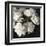 Peony Glow-Tania Bello-Framed Giclee Print