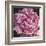 Peony I-Elizabeth Hellman-Framed Art Print