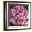 Peony I-Elizabeth Hellman-Framed Art Print