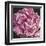 Peony I-Elizabeth Hellman-Framed Art Print