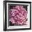 Peony I-Elizabeth Hellman-Framed Art Print