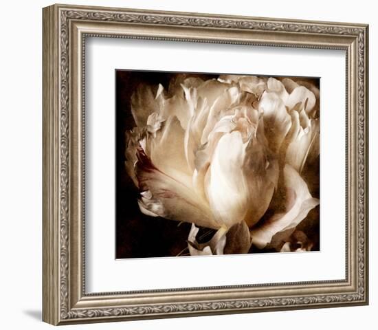 Peony I-Christine Zalewski-Framed Art Print