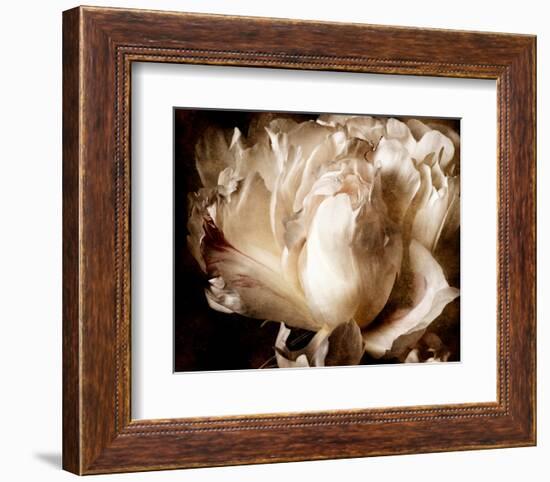 Peony I-Christine Zalewski-Framed Art Print