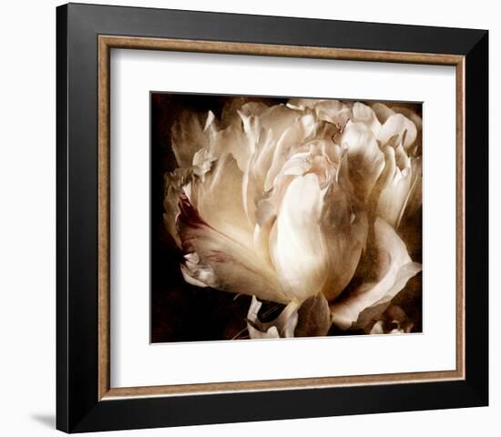 Peony I-Christine Zalewski-Framed Art Print