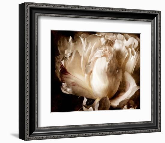 Peony I-Christine Zalewski-Framed Art Print