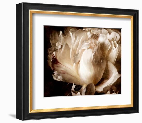 Peony I-Christine Zalewski-Framed Art Print