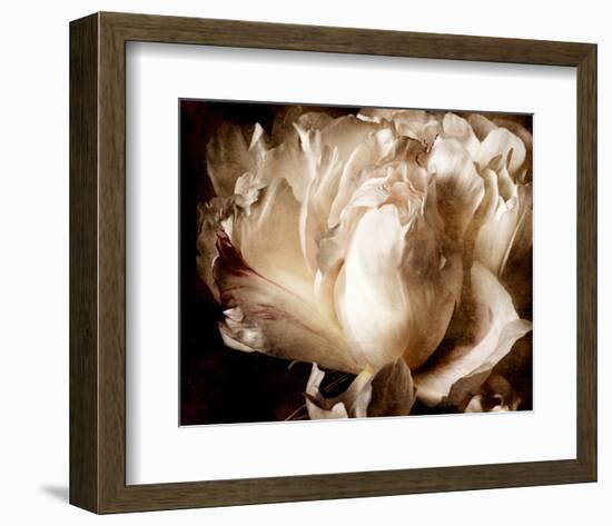 Peony I-Christine Zalewski-Framed Art Print