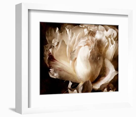 Peony I-Christine Zalewski-Framed Art Print