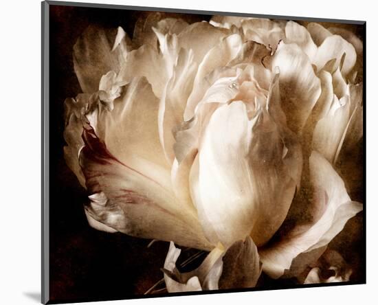 Peony I-Christine Zalewski-Mounted Art Print