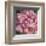 Peony I-Elizabeth Hellman-Framed Art Print