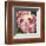 Peony II-Elizabeth Hellman-Framed Art Print