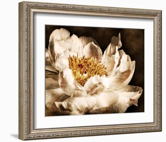 Peony II-Christine Zalewski-Framed Art Print