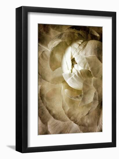 Peony III-Christine Zalewski-Framed Art Print