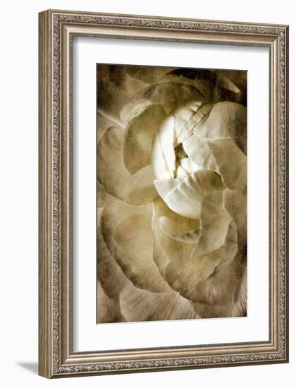 Peony III-Christine Zalewski-Framed Art Print