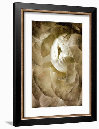 Peony III-Christine Zalewski-Framed Art Print