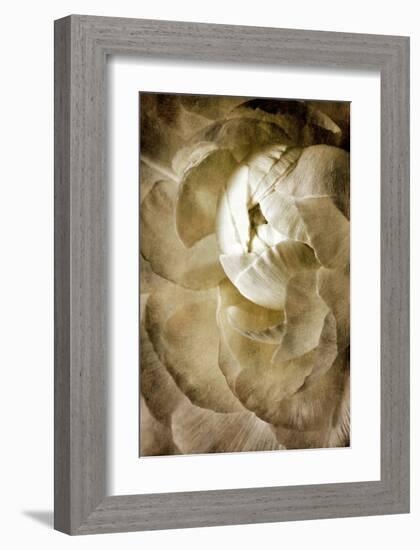 Peony III-Christine Zalewski-Framed Art Print