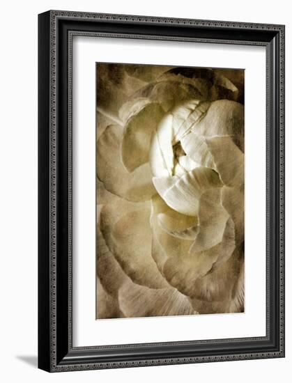 Peony III-Christine Zalewski-Framed Art Print