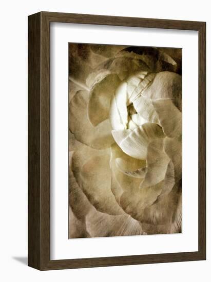 Peony III-Christine Zalewski-Framed Art Print