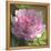 Peony in Pink II-Megan Meagher-Framed Stretched Canvas