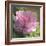 Peony in Pink II-Megan Meagher-Framed Art Print