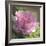 Peony in Pink II-Megan Meagher-Framed Art Print