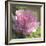 Peony in Pink II-Megan Meagher-Framed Art Print