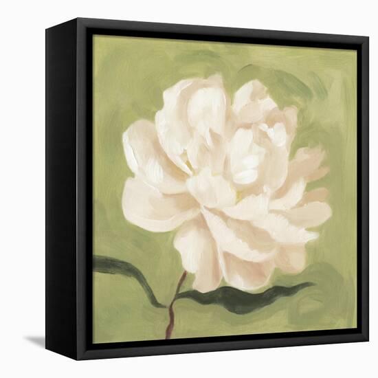 Peony on Olive I-Emma Scarvey-Framed Stretched Canvas