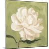 Peony on Olive I-Emma Scarvey-Mounted Art Print