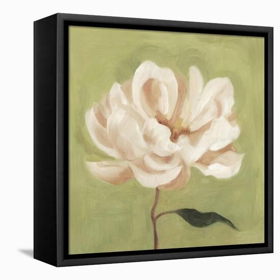 Peony on Olive II-Emma Scarvey-Framed Stretched Canvas