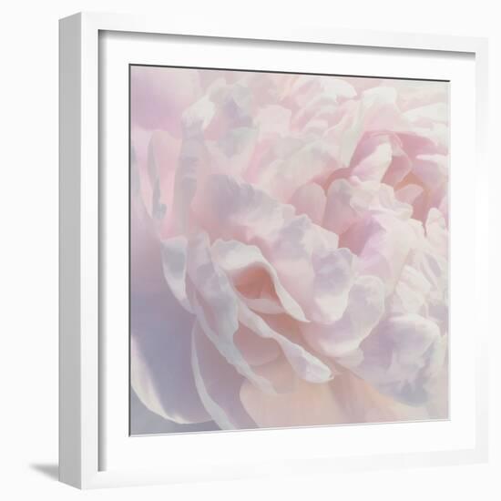 Peony Pink Blush I-David Pollard-Framed Art Print