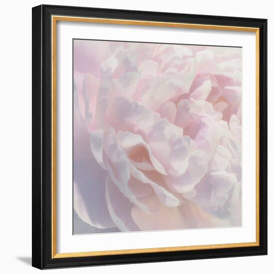 Peony Pink Blush I-David Pollard-Framed Art Print